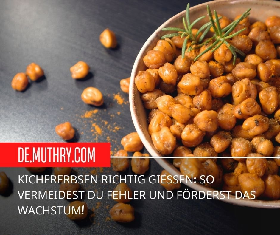 Kichererbsen richtig gießen: So vermeidest du Fehler und förderst das Wachstum!